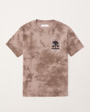 Brown Abercrombie And Fitch Imagery Logo Graphic Boys T-shirts | 27RNHPVAW