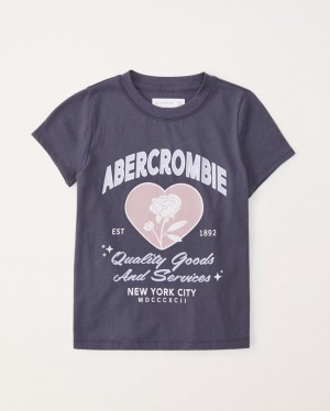Dark Grey Abercrombie And Fitch Graphic Logo Girls T-shirts | 04EDCTLXI
