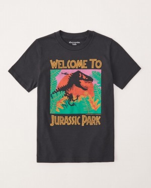 Dark Grey Abercrombie And Fitch Jurassic Park Graphic Girls T-shirts | 36THIGFQL