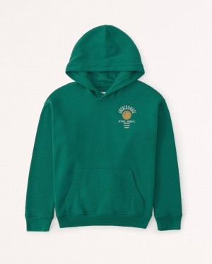 Green Abercrombie And Fitch Print Logo Popover Boys Hoodie | 26QUDMJXR