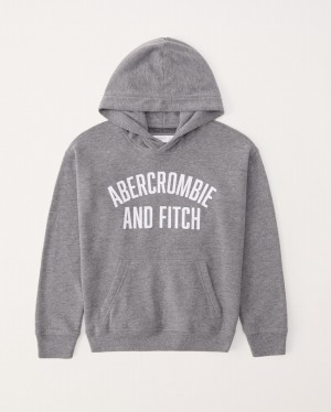 Grey Abercrombie And Fitch Print Logo Popover Boys Hoodie | 48AJKQITR