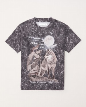 Grey Abercrombie And Fitch Tie-dye Yellowstone Graphic Boys T-shirts | 53CFJTHID