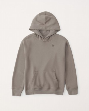 Grey / Brown Abercrombie And Fitch Essential Icon Boys Hoodie | 76HMLCBRA