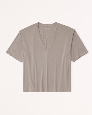 Grey / Brown Abercrombie And Fitch Sandwash V-neck Women T-shirts | 65PIXOUBJ