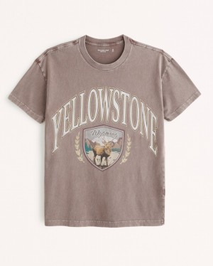 Light Brown Abercrombie And Fitch Yellowstone Graphic Men T-shirts | 05BFSKTZN