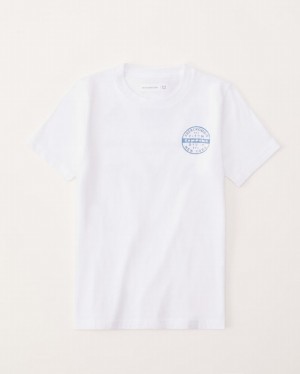 White Abercrombie And Fitch Graphic Logo Boys T-shirts | 34FYHVKRC