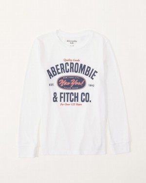 White Abercrombie And Fitch Long-sleeve Graphic Logo Boys T-shirts | 03LSDFMUR