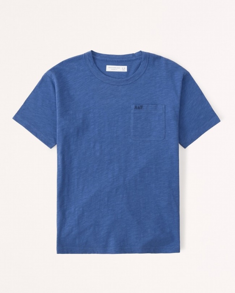 Blue Abercrombie And Fitch Essential Slub Crew Boys T-shirts | 25URIQPJF