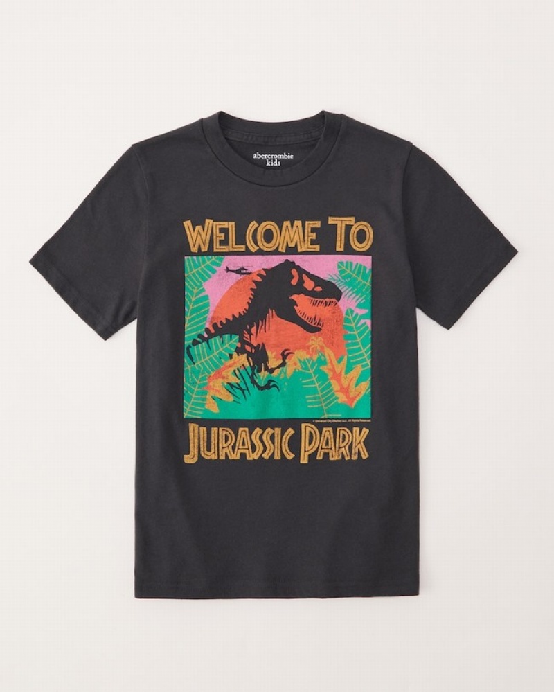 Dark Grey Abercrombie And Fitch Jurassic Park Graphic Boys T-shirts | 83QYLUAXO